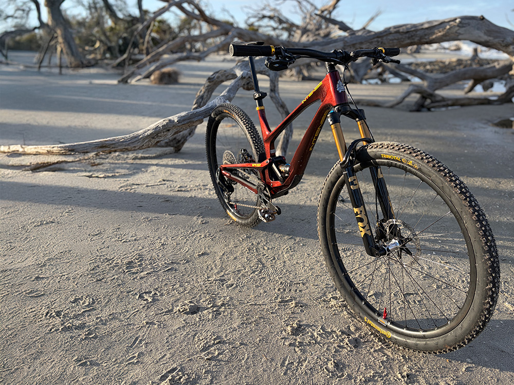 Red Intense Spider on the beach
